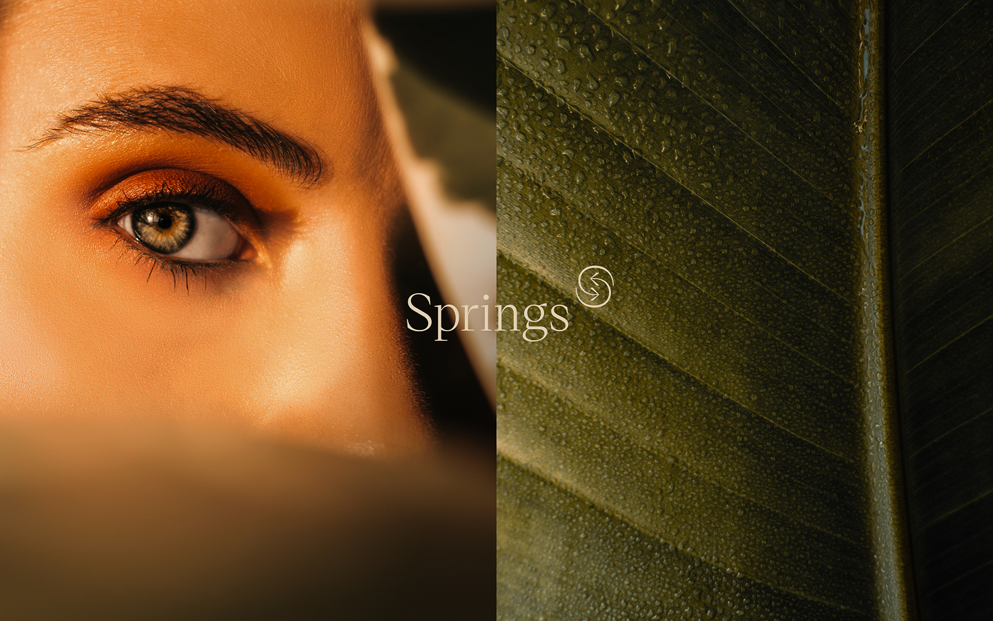 Springs