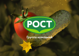 ГК РОСТ